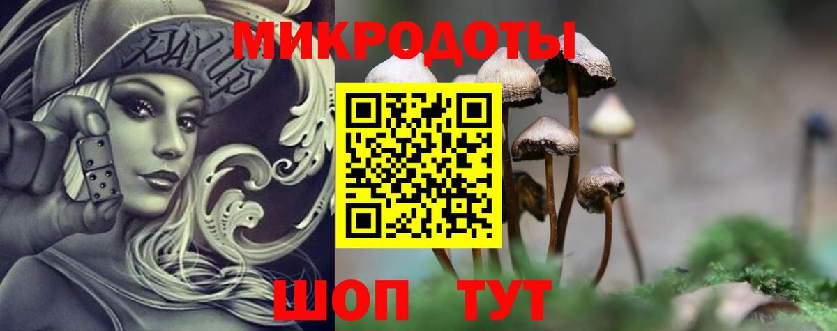 Морозовск  Галлюциногенные грибы Magic Shrooms  Вход с VPN 